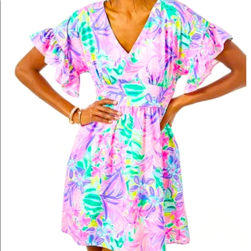 EUC Lilly Pulitzer Blair stretch dress sz 4